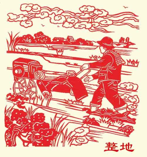 【剪纸】千辛万苦一粒粮-1