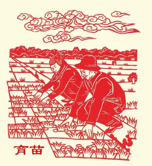 【剪纸】千辛万苦一粒粮-1